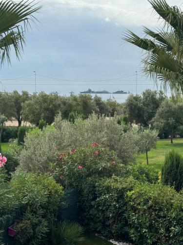wonderful sea view photo 49
