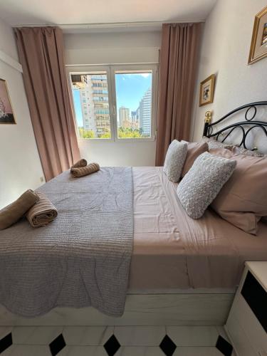 Rio Suite