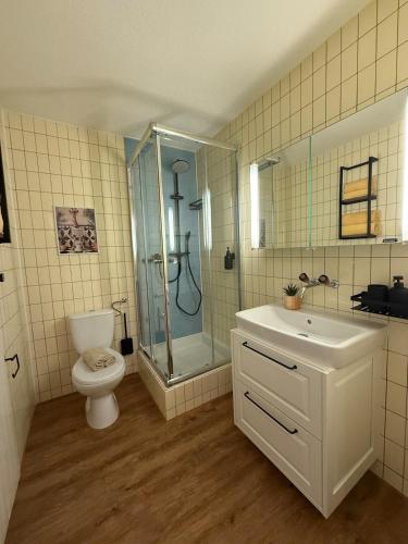 a bathroom with a shower and a toilet and a sink at Holiday Leukerbad Mountain Nature Free Parking Free WiFi in Leukerbad