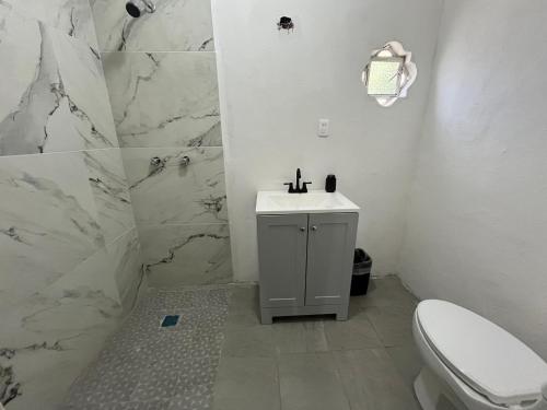 a bathroom with a toilet and a sink and a shower at 23 Habitación doble cama in Miravalle