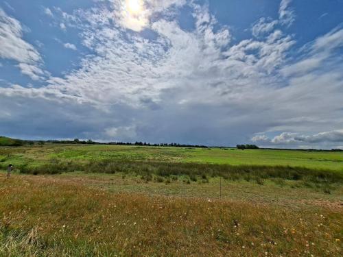 un grand champ vert avec un ciel nuageux dans l'établissement 8 person holiday home in Hemmet, à Hemmet