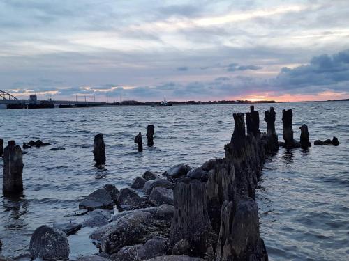 a group of wooden posts in the water at Tranquil Nature Escape-By Traum in Thyholm