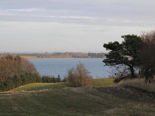 a tree on a hill next to a body of water at Tranquil Nature Escape-By Traum in Thyholm