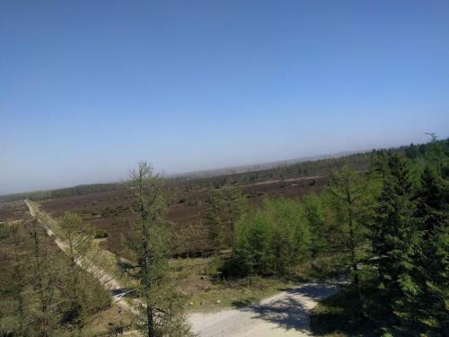 a dirt road in the middle of a field with trees at 6 person holiday home in Hovborg-By Traum in Hovborg