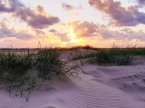 a sunset on a beach with grass in the sand at 4 person holiday home in Fanø-By Traum in Fanø