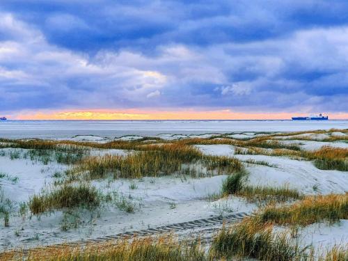 a beach with snow and grass on it with a sunset at 4 person holiday home in Fanø-By Traum in Fanø