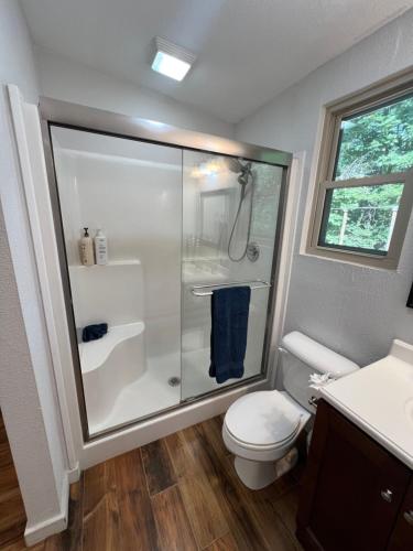 een badkamer met een douche, toilet en wastafel bij Barn Door Themed Garvan Gardens Blue Bungalow in Hot Springs
