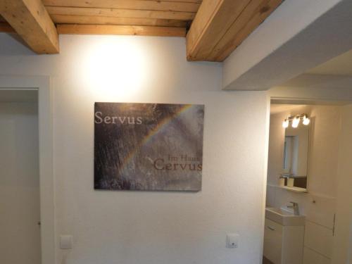 a painting on the wall of a bathroom at Cervus in Bruck an der Großglocknerstraße
