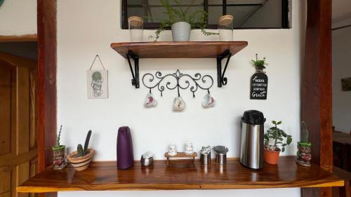 a shelf with some plants on a wall at Hotel Villa de Mompox in Mompos