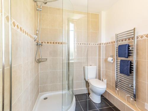 a bathroom with a toilet and a shower at Haytongate Barn in Walton