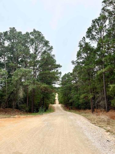 a dirt road with trees on either side at Swim Spa Billiards in Pineforest Spacious Home in Bastrop