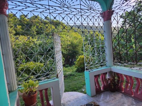 a screened porch with a view of a garden at sleeps 7 plus private parking apartment near Yallahs in St Thomas Jamaica 