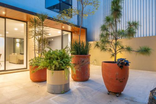 a group of potted plants inront of a building at Dream Haus Country Club in Guadalajara