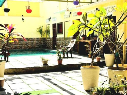 un patio con una piscina con plantas y una silla en Haveli near the lake, en Udaipur