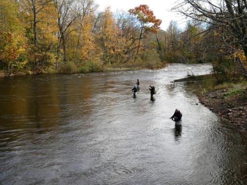 three people are walking in a river at Cozy Three-Bedroom Cabin Near The Salmon River in Altmar, New York in Altmar