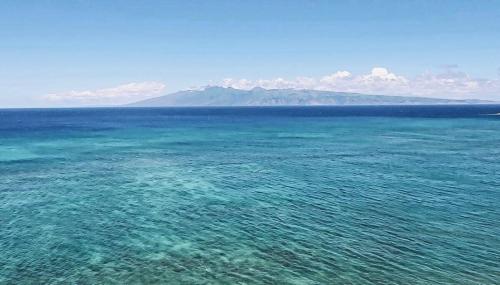 Φυσικό τοπίο κοντά σε αυτό το ξενοδοχείο διαμερισμάτων
