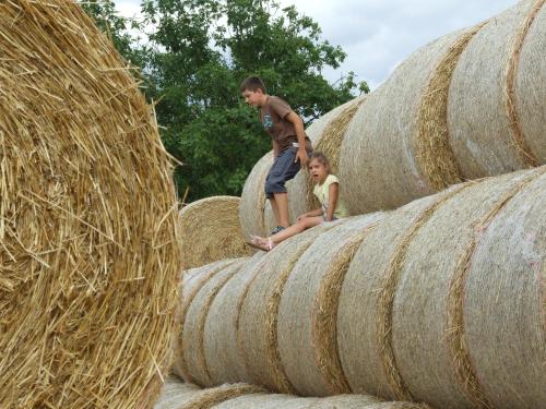 a man and a child standing on hay bales at Ferienhäuser Aura in St. Andrä am Zicksee