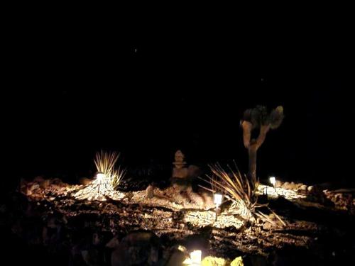 a night view of a park with lights and a tree at Stunning Tiny House with Picnic Space, Barbecue and Fire Pit in Meadview, Arizona in Ray Place