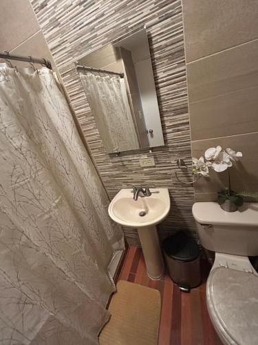 a bathroom with a sink and a toilet and a mirror at Estudio práctico y confortable en segundo piso in Senecú