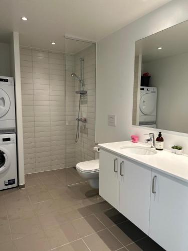 y baño con aseo, lavabo y lavadora. en Modern Apartment by Beach and Metro, en Vallensbæk