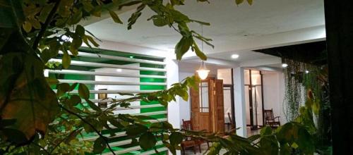 a room with green and white walls and a plant at Sri Holiday House - Hikkaduwa in Hikkaduwa