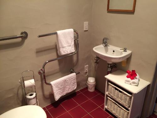 a bathroom with a sink and a toilet and a sink at Taigh na Mara Bed and Breakfast in Whitianga