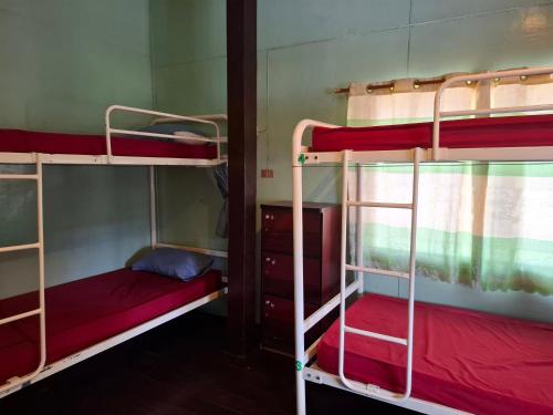 a group of bunk beds in a room at topp stay hostel in Pai