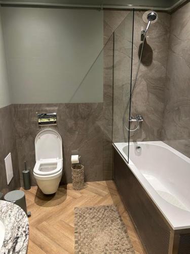 a bathroom with a toilet and a bath tub at Aparthotel in Chişinău