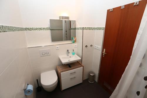 La salle de bains est pourvue de toilettes, d'un lavabo et d'un miroir. dans l'établissement Ferienwohnung Fuchsbau, à Peiting