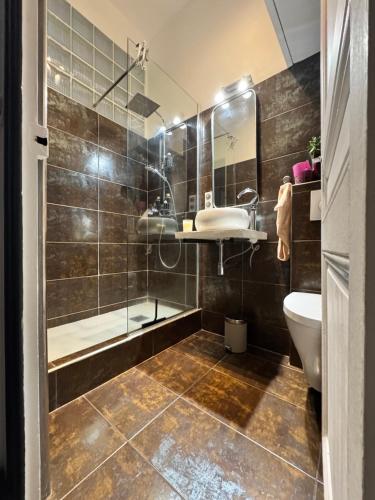 a bathroom with a shower and a toilet and a sink at Appartement Bourgeois à 5 min à pied du centre in Cannes