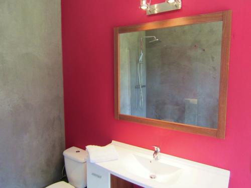a bathroom with a sink and a mirror and a toilet at Luxury Castle, Basse-Bodeux in Basse-Bodeux