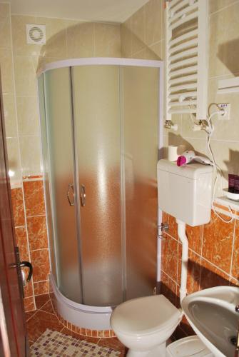 Ένα μπάνιο στο Apartmani "Vila Jelena" Arandjelovac