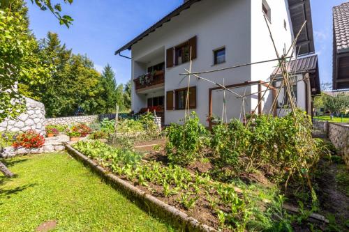 a garden in front of a house at Apartaman Goga in Lokve