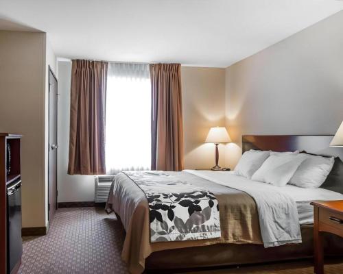 a hotel room with a bed and a window at Rodeway Inn & Suites Salina South in Salina