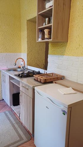 a kitchen with a sink and a counter top at Guest House Rose in Borjomi