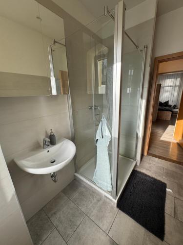 ゲーラにあるBüchner 50の洗面台とシャワー付きのバスルーム