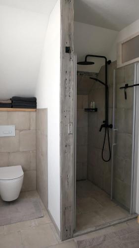 a bathroom with a shower and a toilet at Upstairs6b in Dipperz