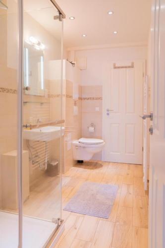a bathroom with a shower and a sink and a toilet at Appartementhaus Schleiblick in Kappeln