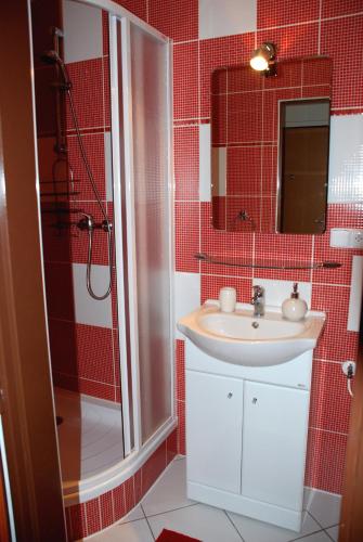a bathroom with a sink and a shower at Apartmán Jeseník in Jeseník