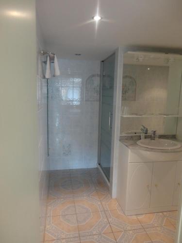 a bathroom with a shower and a sink at Hotel Aux Beaux Rivages En Gaume in Lacuisine