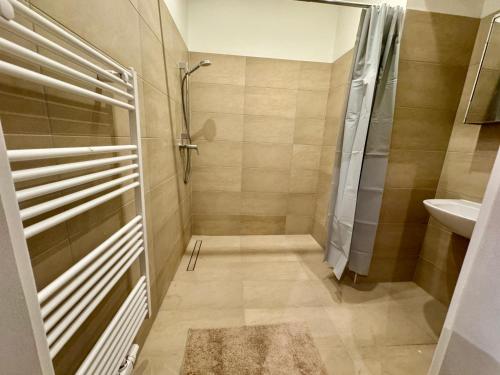 a bathroom with a shower and a sink at Renovated Spacious Apartment with Free Parking in Vienna