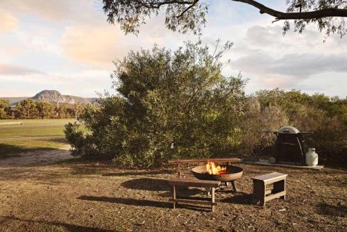 a fire pit and a picnic table in a field at Hollow Mountain Getaway 2 by Tiny Away in Laharum