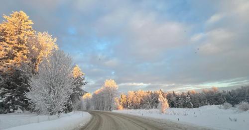 a dirt road with snow covered trees on it at Son view in Vestby