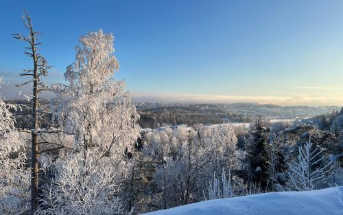 a snow covered tree on top of a mountain at Son view in Vestby