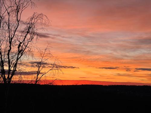a sunset with two trees in the foreground at Son view in Vestby