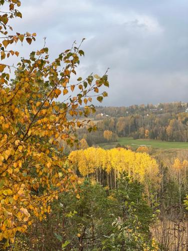 a view from the top of a hill with yellow trees at Son view in Vestby
