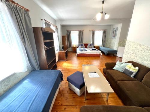 a living room with a couch and a table at Goldschmiedt Vendégház in Pálköve