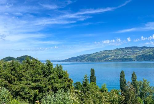 a view of a large body of water with trees at Seepanorama Güetital in Faulensee