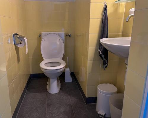 a bathroom with a toilet and a sink at Seepanorama Güetital in Faulensee