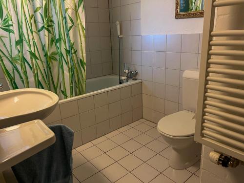 a bathroom with a toilet and a sink at Seepanorama Güetital in Faulensee